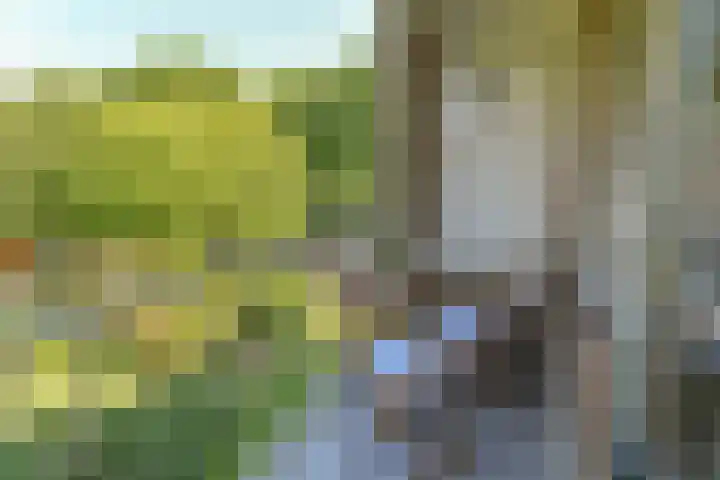Bernhardlaan 41 4 Arnhem thumbnail 19