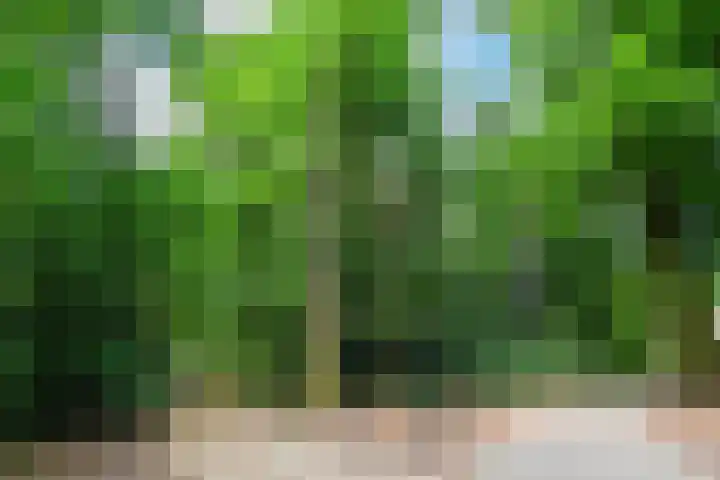 Bernhardlaan 41 4 Arnhem thumbnail 35