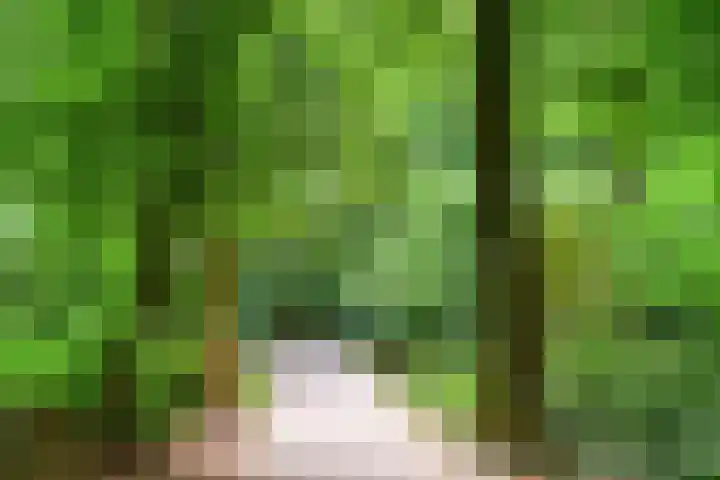 Bernhardlaan 41 4 Arnhem thumbnail 36