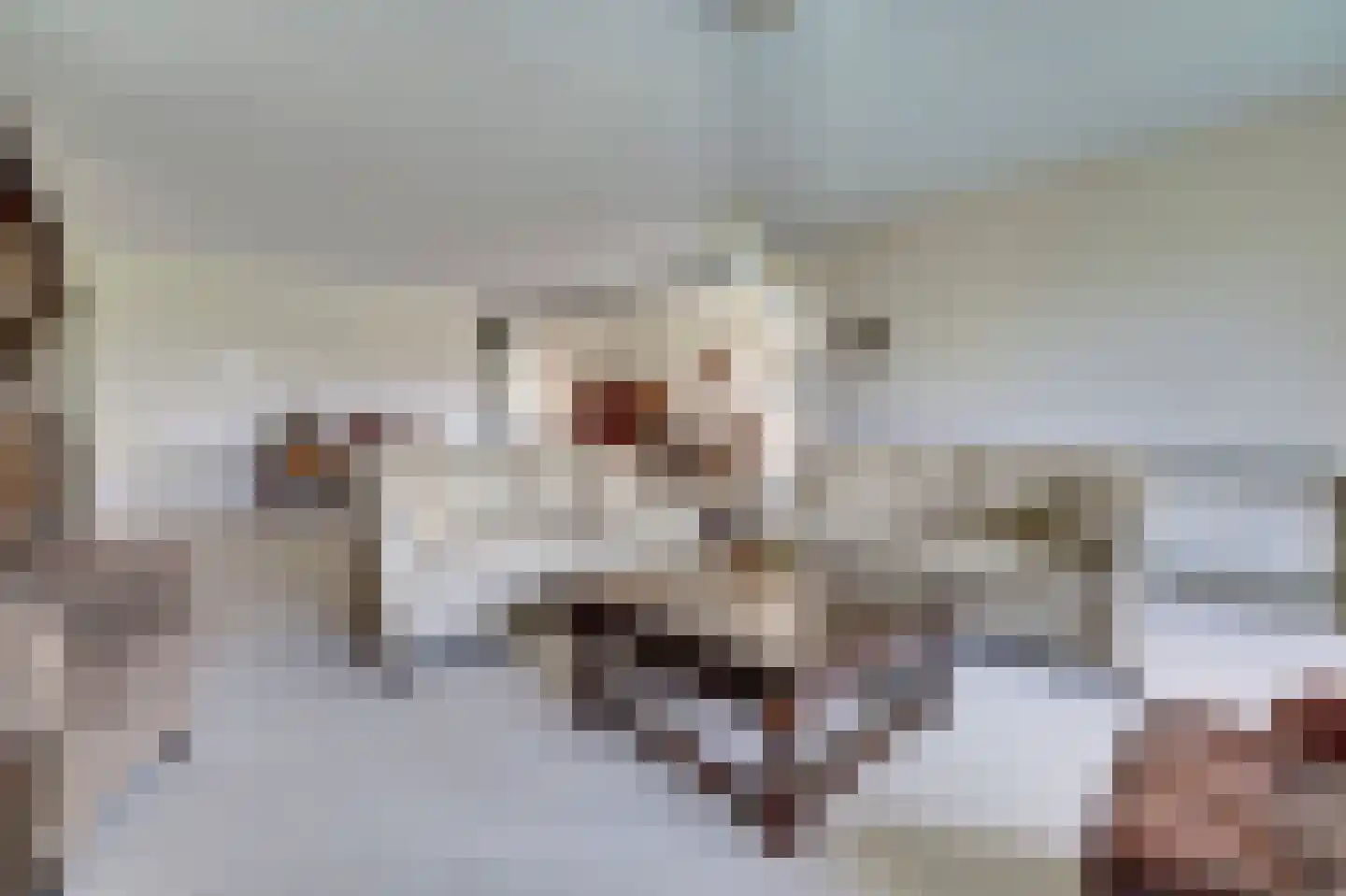 Bernhardlaan 43 Oss thumbnail 10