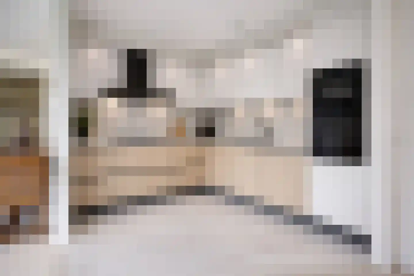 Bernhardlaan 43 Oss thumbnail 19