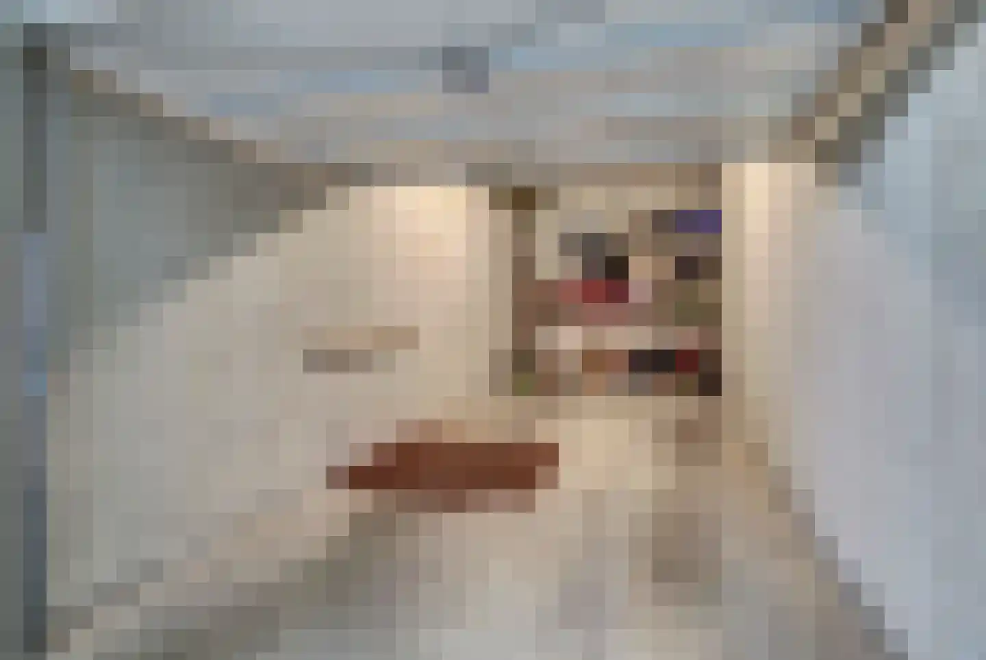 Bernhardlaan 43 Oss thumbnail 30