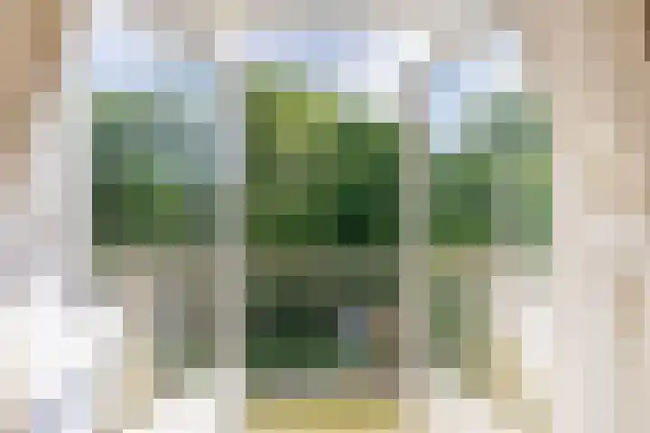 Bernhardlaan 45 4 Arnhem thumbnail 10