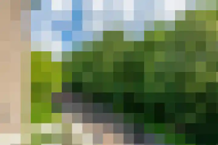 Bernhardlaan 45 4 Arnhem thumbnail 11