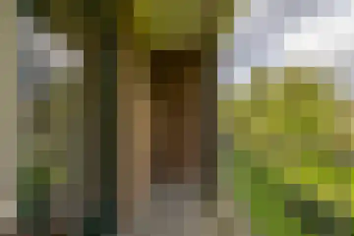 Bernhardlaan 45 4 Arnhem thumbnail 17