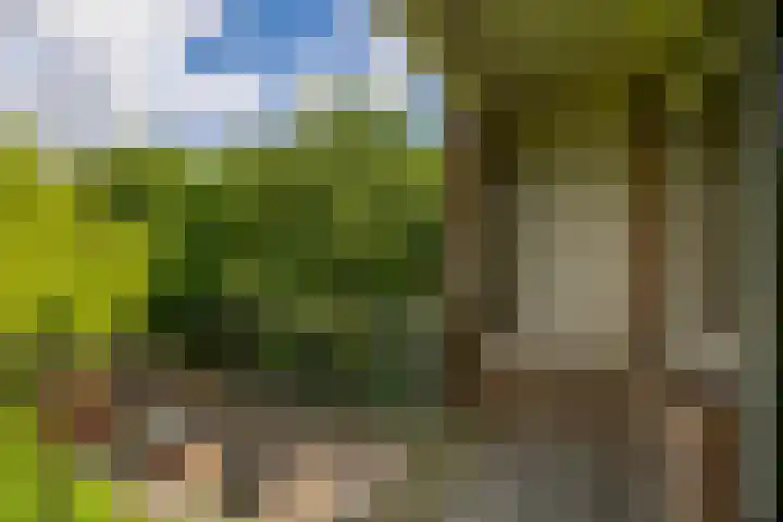 Bernhardlaan 45 4 Arnhem thumbnail 18