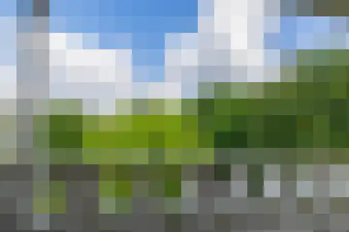 Bernhardlaan 45 4 Arnhem thumbnail 25
