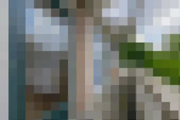 Bernhardlaan 45 4 Arnhem thumbnail 31