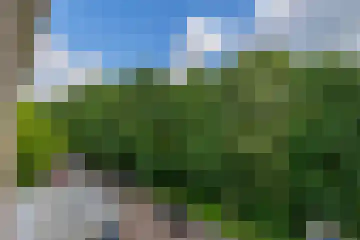 Bernhardlaan 45 4 Arnhem thumbnail 32