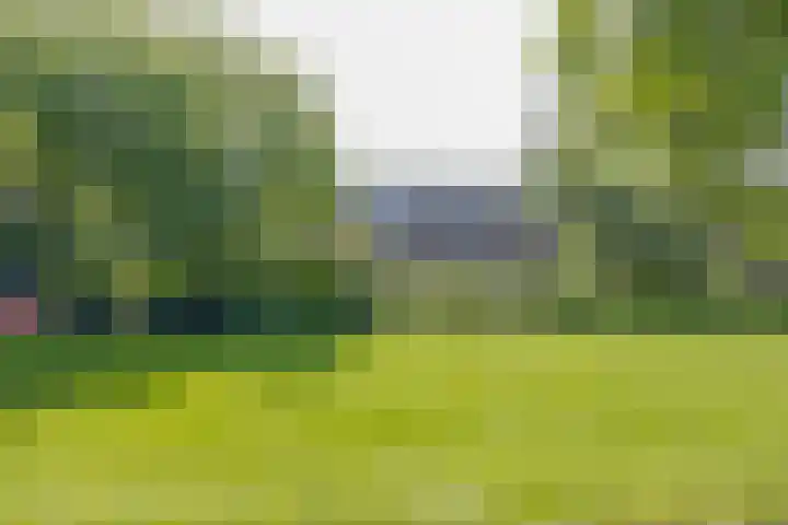 Bernhardlaan 45 4 Arnhem thumbnail 45