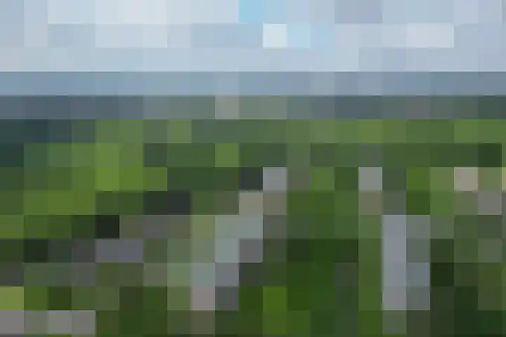 Bernhardlaan 45 4 Arnhem thumbnail 46
