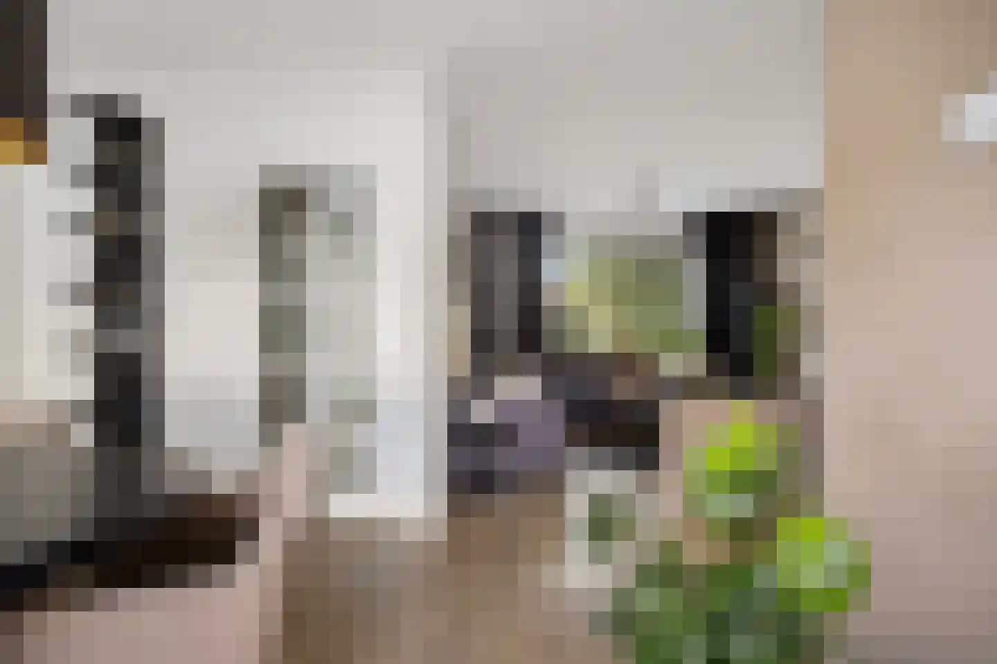 Bernhardlaan 47 Zuidwolde thumbnail 11