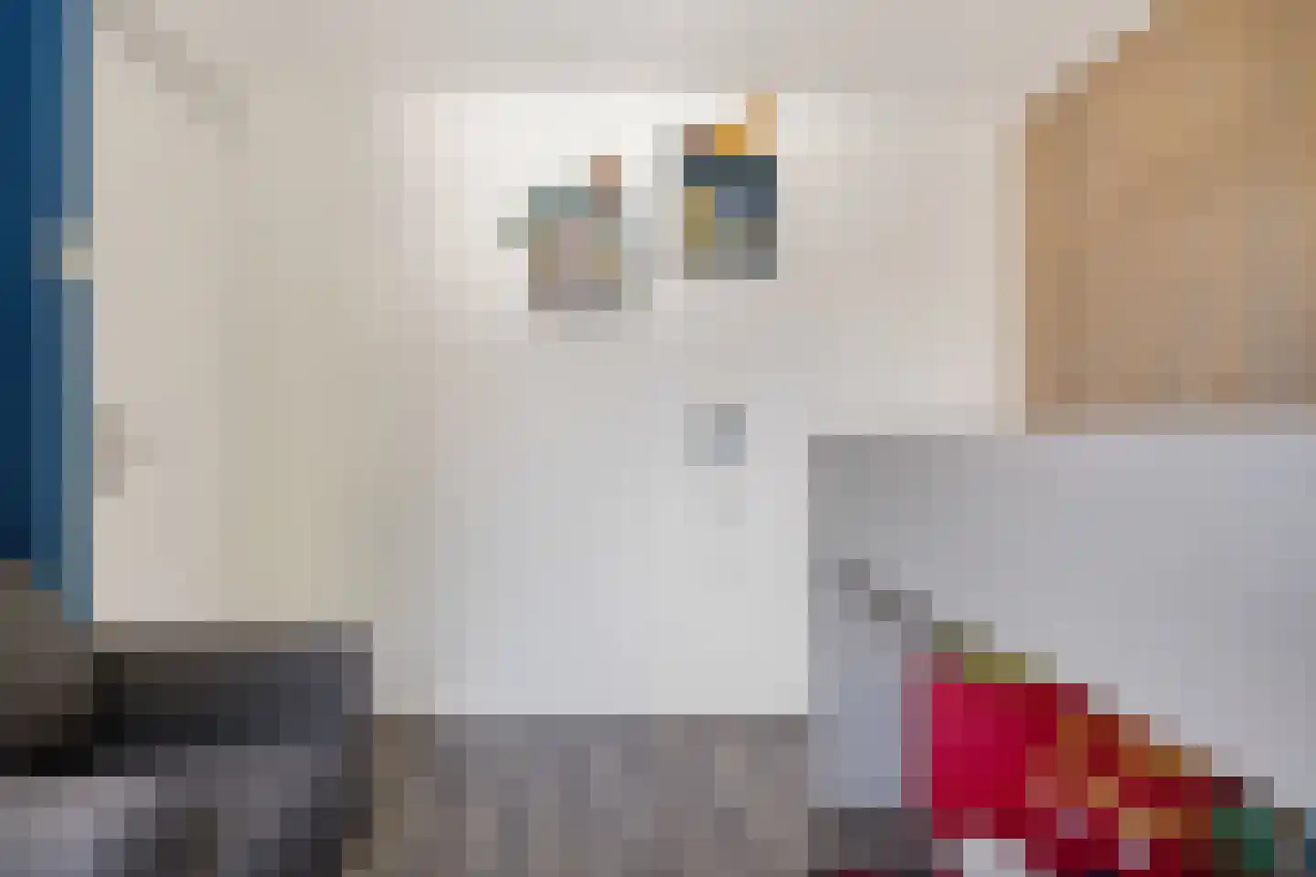 Bernhardlaan 47 Zuidwolde thumbnail 23