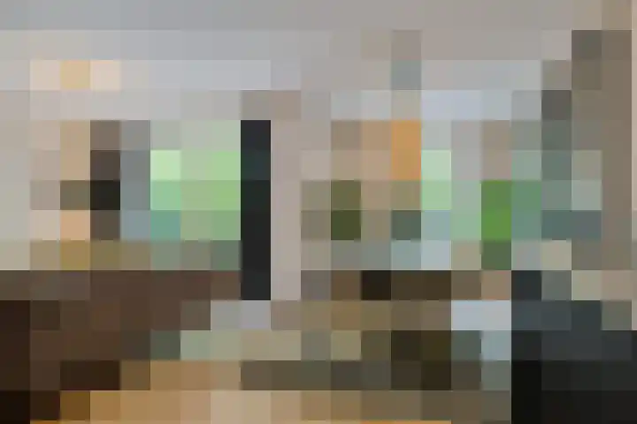 Bernhardlaan 50 Monnickendam thumbnail 16