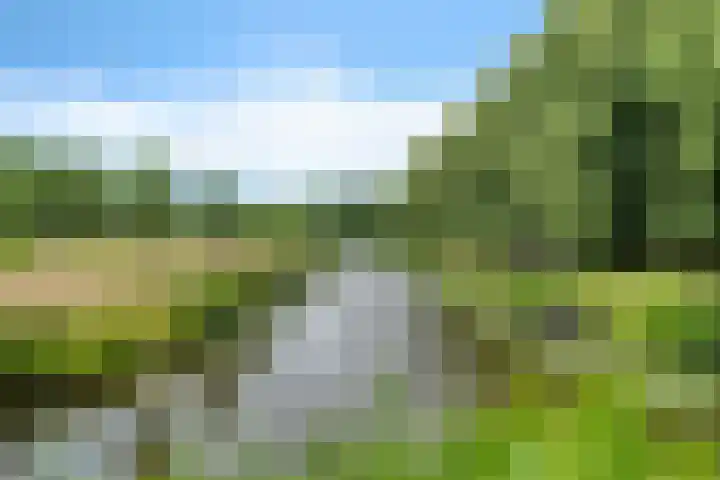 Bernhardlaan 50 Monnickendam thumbnail 37