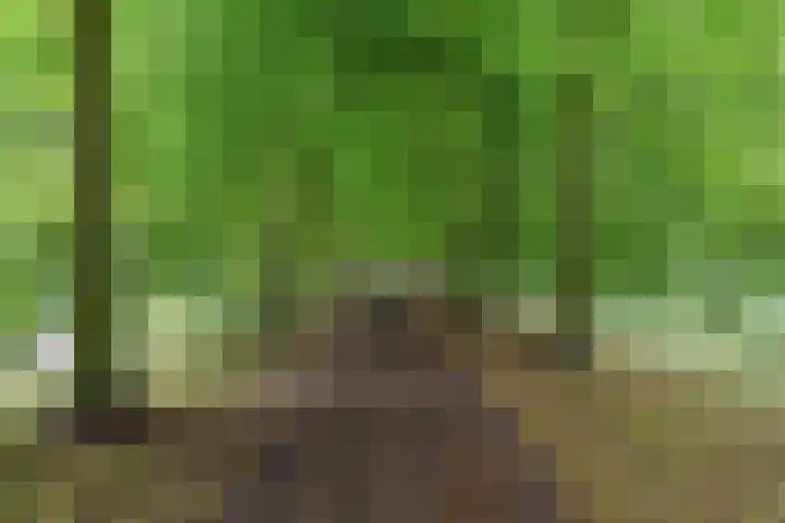 Bernhardlaan 50 Monnickendam thumbnail 39