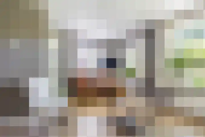 Bernhardlaan 58 Buitenpost thumbnail 11