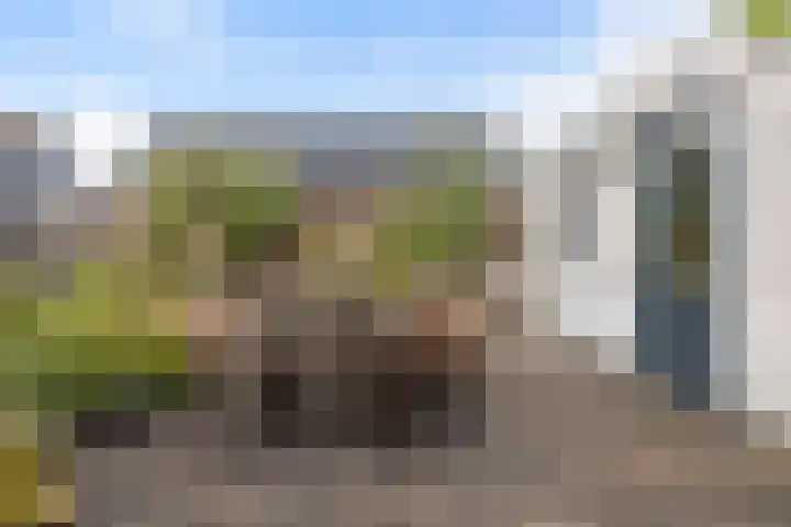 Bernhardlaan 58 Buitenpost thumbnail 17