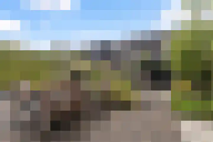 Bernhardlaan 58 Buitenpost thumbnail 18