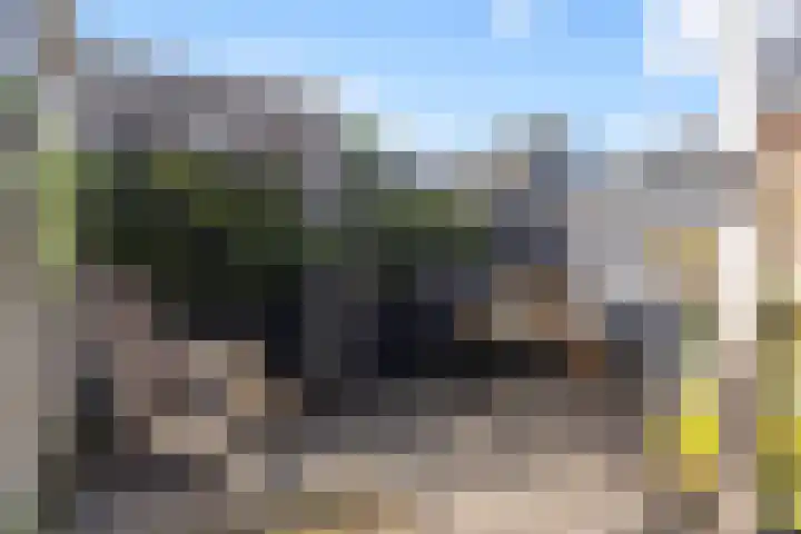 Bernhardlaan 58 Buitenpost thumbnail 19