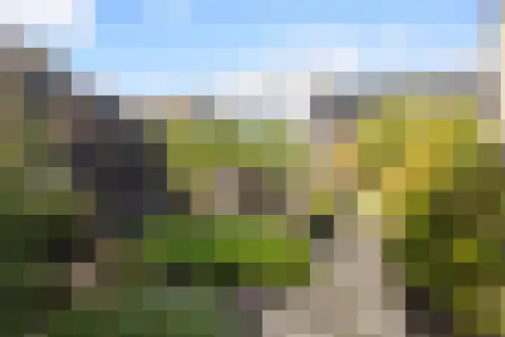 Bernhardlaan 58 Buitenpost thumbnail 20