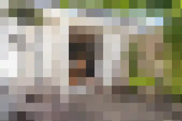 Bernhardlaan 58 Buitenpost thumbnail 21