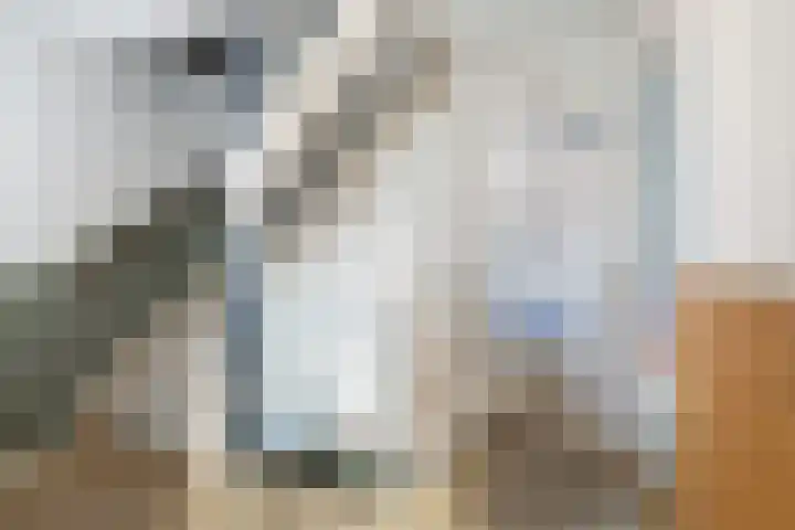 Bernhardlaan 58 Buitenpost thumbnail 23