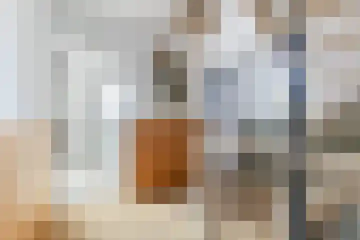 Bernhardlaan 58 Buitenpost thumbnail 24