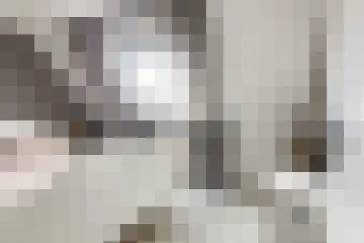 Bernhardlaan 58 Buitenpost thumbnail 27