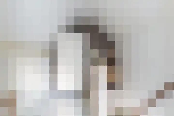 Bernhardlaan 58 Buitenpost thumbnail 32