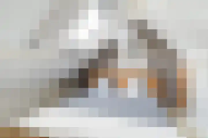 Bernhardlaan 58 Buitenpost thumbnail 34