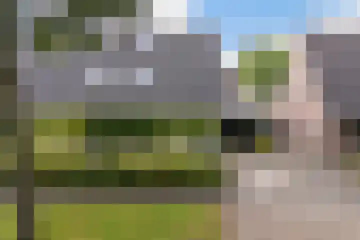 Bernhardlaan 58 Buitenpost thumbnail 36