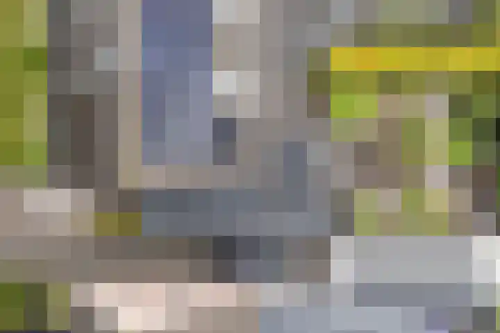 Bernhardlaan 58 Buitenpost thumbnail 37