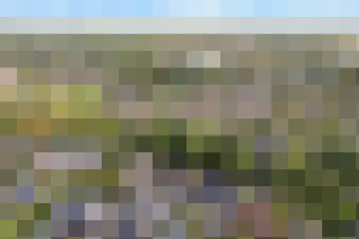 Bernhardlaan 58 Buitenpost thumbnail 38