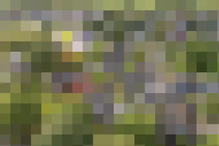 Bernhardlaan 58 Buitenpost thumbnail 39