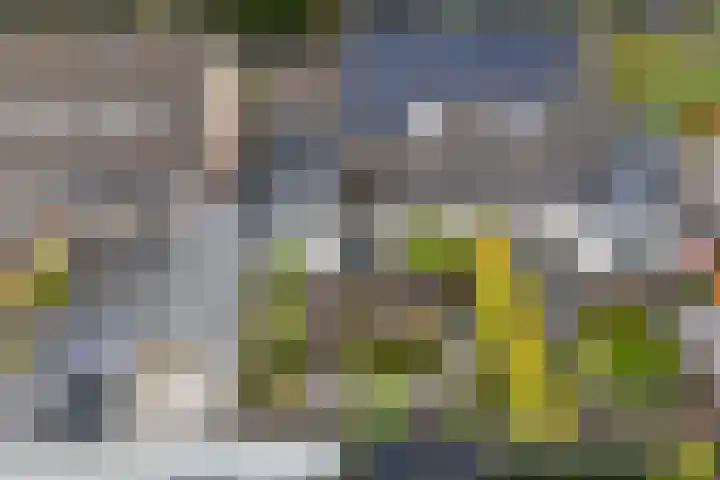 Bernhardlaan 58 Buitenpost thumbnail 4