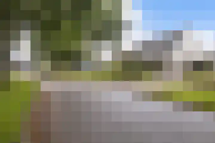 Bernhardlaan 58 Buitenpost thumbnail 5