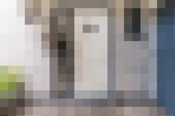 Bernhardlaan 58 Buitenpost thumbnail 7