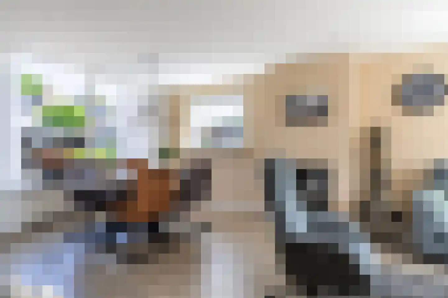 Bernhardlaan 6 Kollum thumbnail 12