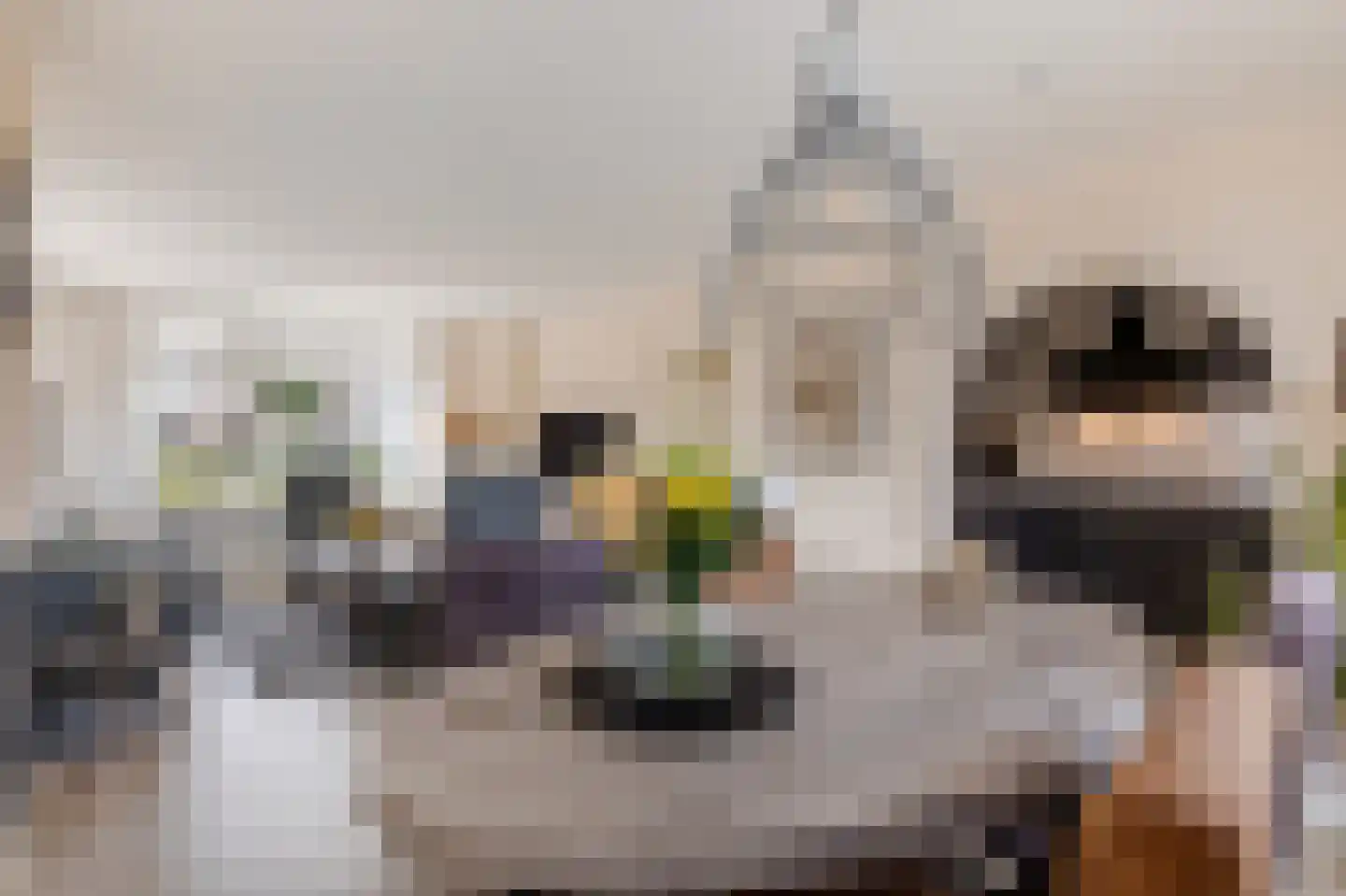 Bernhardlaan 6 Kollum thumbnail 14