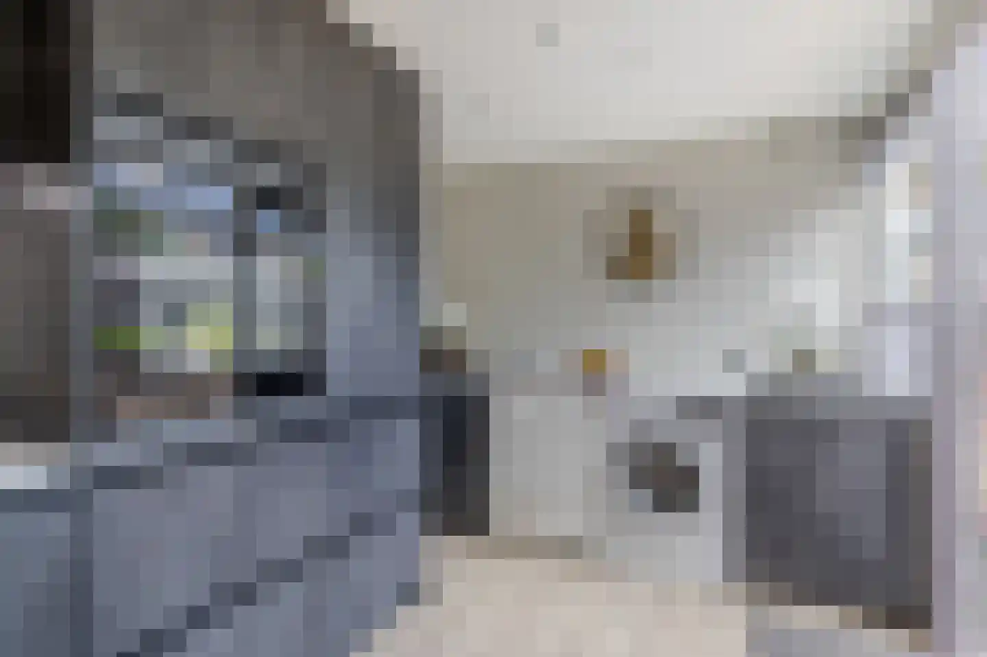 Bernhardlaan 6 Kollum thumbnail 20
