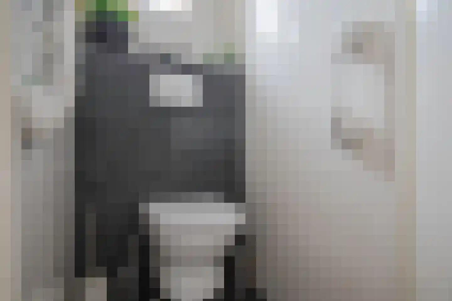Bernhardlaan 6 Kollum thumbnail 22