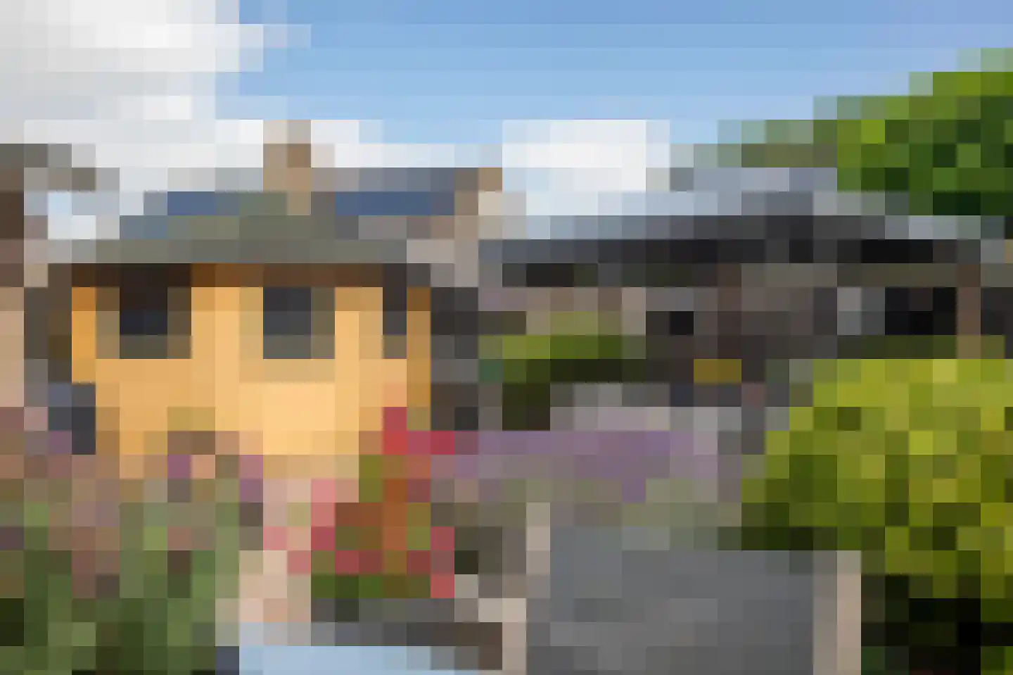Bernhardlaan 6 Kollum thumbnail 40