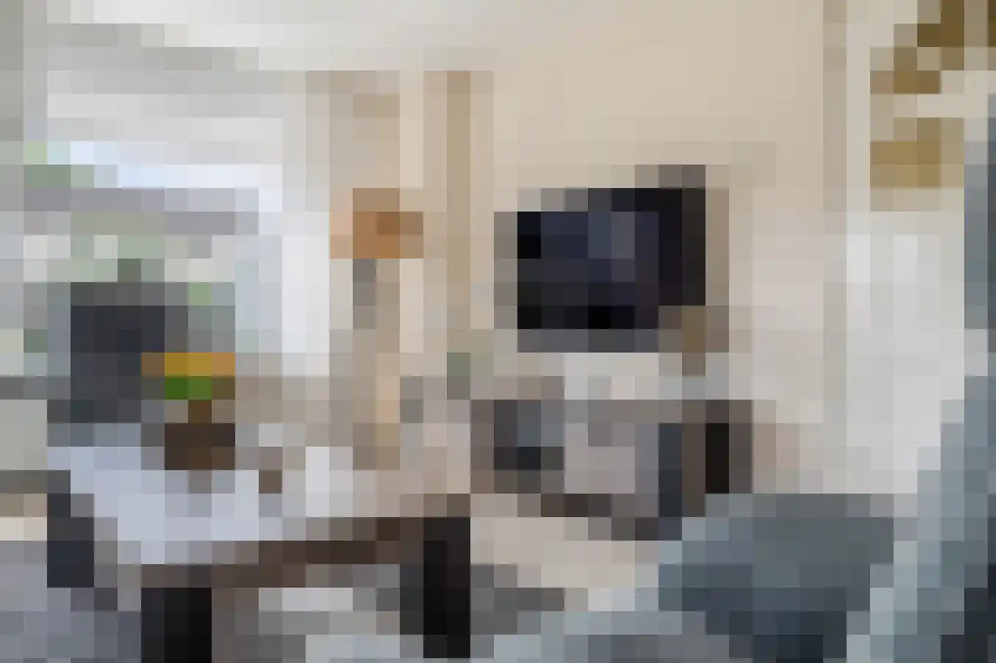 Bernhardlaan 6 Kollum thumbnail 8