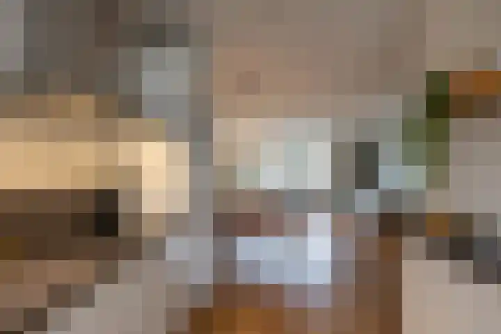 Bernhardlaan 60 Groningen thumbnail 14