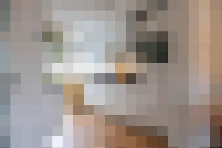 Bernhardlaan 60 Groningen thumbnail 16