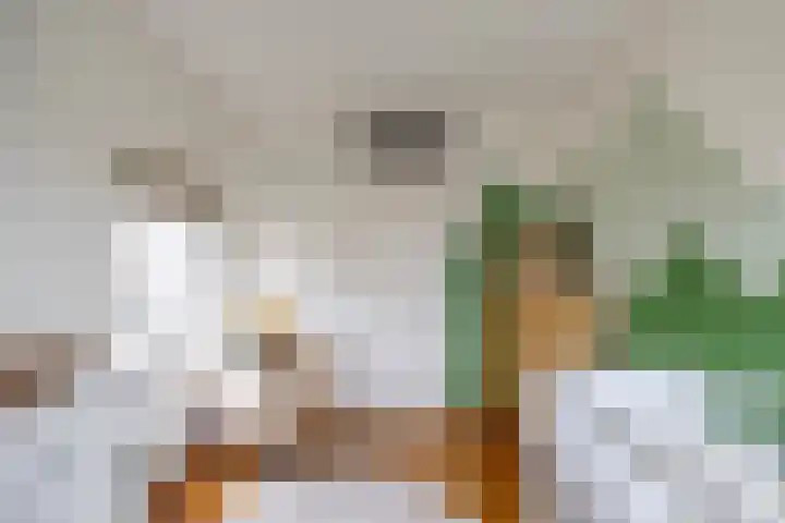 Bernhardlaan 60 Groningen thumbnail 24
