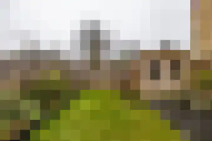 Bernhardlaan 60 Groningen thumbnail 32