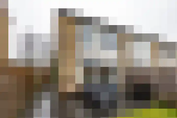 Bernhardlaan 60 Groningen thumbnail 33