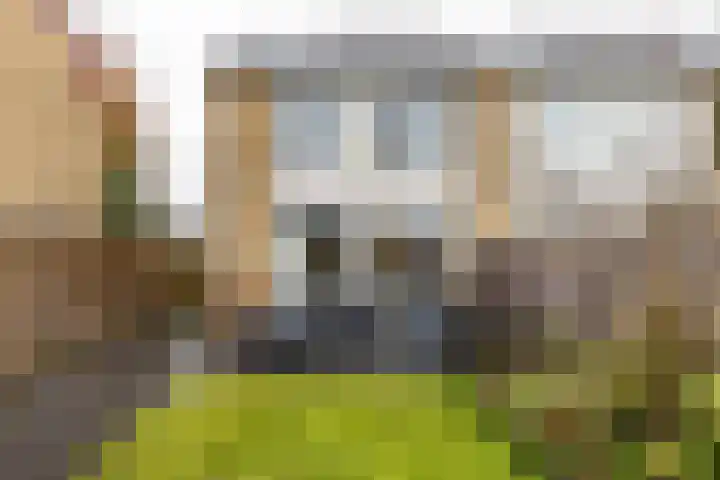 Bernhardlaan 60 Groningen thumbnail 34